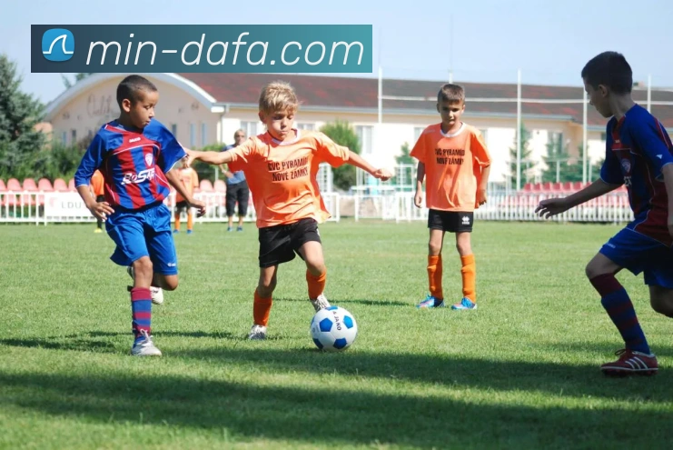 App Interface Preview